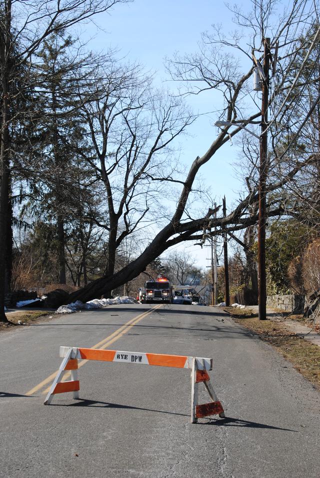Rye FD assisted Rye PD with traffic control while Con Ed and Rye DPW tend to a tree that knocked out power to the immediate area. The tree came down near the intersection of Apawamis Ave and Brown St 3/9/14